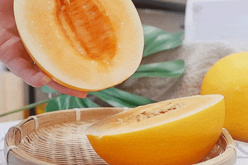 吃黄色蜜瓜,甜蜜滋味尽享一夏