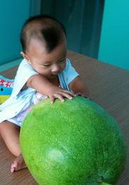 作者在线吃瓜,揭秘作者在线观战记