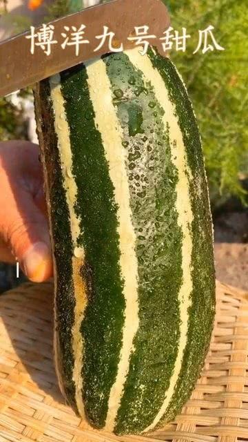 梦见吃熟过了的瓜