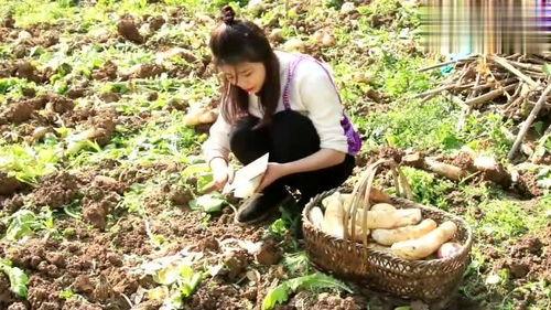 越南姑娘吃山头瓜,探寻山头瓜的独特风味