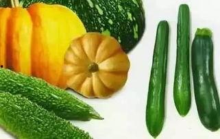 刘季吃瓜,揭秘娱乐圈背后的秘密与真相