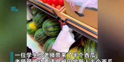 富老师吃瓜花小龙