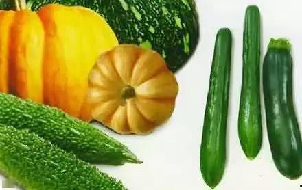 痔疮秋瓜可以吃吗,可以吃吗？