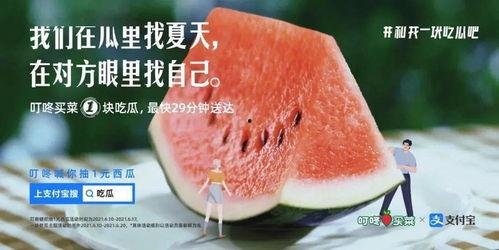 吃瓜文案全部,揭秘娱乐圈幕后真相