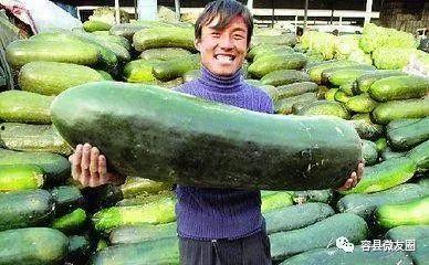 蛤蟆吃瓜群众,揭秘网络舆论场的趣味现象